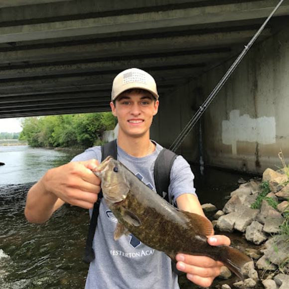 Meet your Posher, Noah - Picture 1 of 1